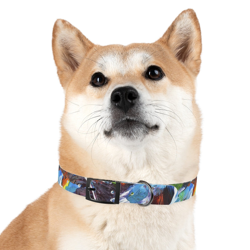 MACAW Pet Collar