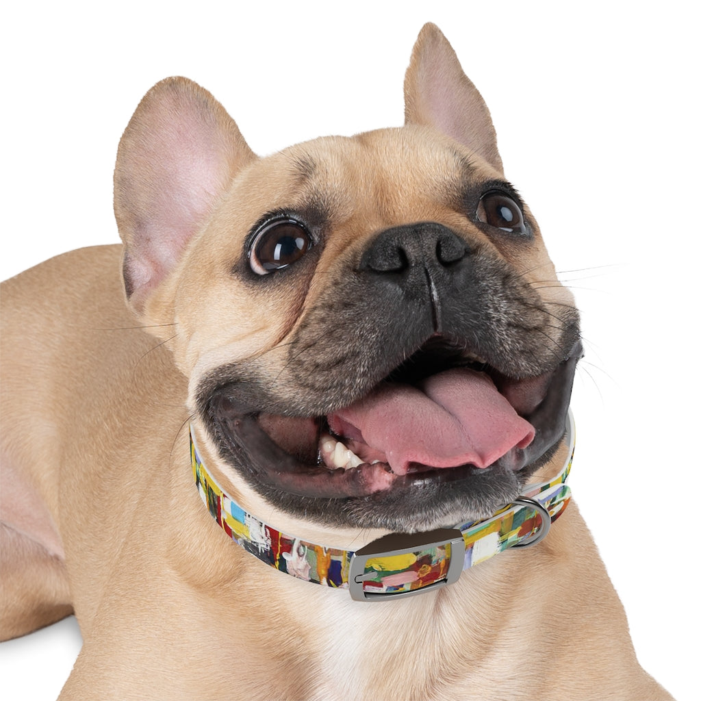 CONNECTION Pet Collar